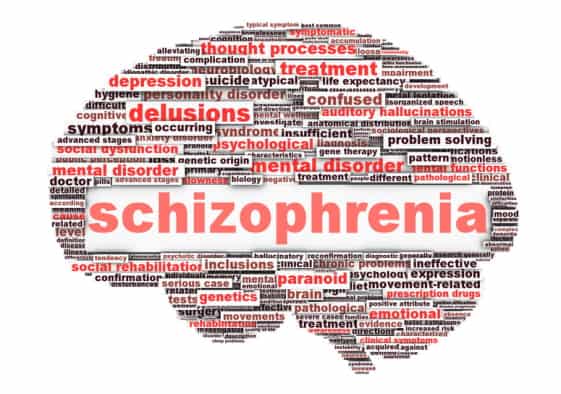 Schizophrenia Parasite Connection